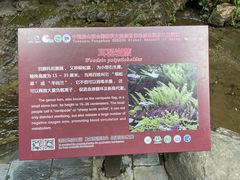 -野三坡百里峡景区