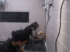 -FAELING PETS美天灵宠物(富力广场店)