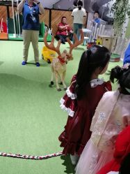 -幻贝家儿童乐园(苏州中心店)