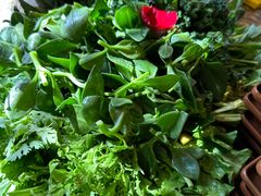 -慢丽江·云南野生菌土鸡锅(西山店)