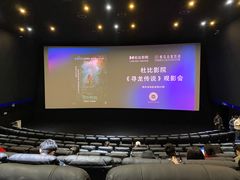 -寰映影城(大融城激光IMAX店)