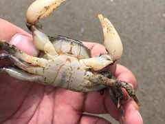 -南澳海滩