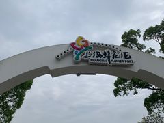 -上海鲜花港