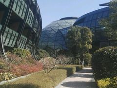 -上海滴水湖皇冠假日酒店