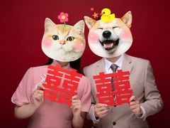 -bobo高端证件照工作室(三元桥店)