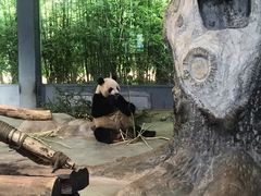 -海南热带野生动植物园