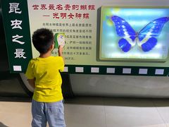 -上海昆虫博物馆