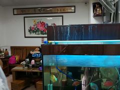 -叶氏水木堂盲人医疗按摩所
