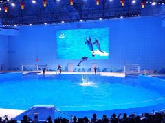 -石家庄市动物园