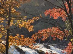 -楠溪江风景名胜区