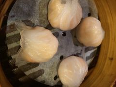 添好运点心专门店(深水埗店)-添好运点心专门店(深水埗店)