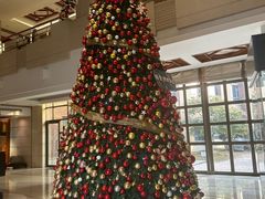 -同里湖大饭店-怡景轩中餐厅(同里古镇店)