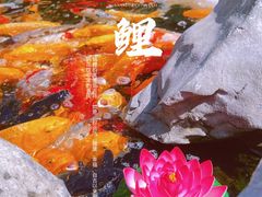 -下海庙