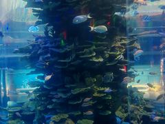-泉城欧乐堡海洋极地世界