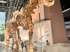 -武汉园博园(武汉自然博物馆)