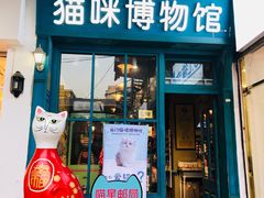 -猫咪博物馆(顶澳仔猫街店)