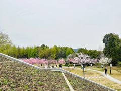 -石湖景区