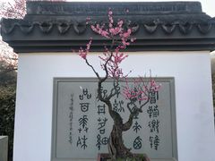 -杭州植物园