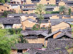 -杨家堂村