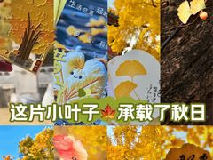 -承恩寺