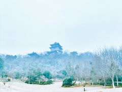 -雅达·阳羡溪山小镇中心