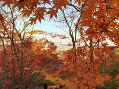 -常寂光寺