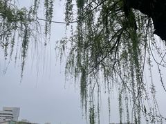 -孺子亭公园