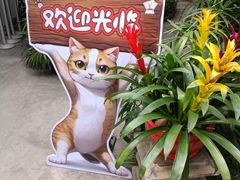 -广州兰圃