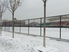 -南开大学滨海学院