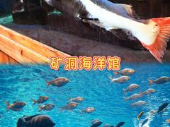-长鹿旅游休博园