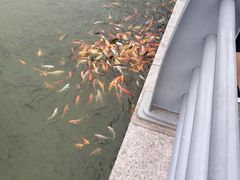 -泉城欧乐堡梦幻世界