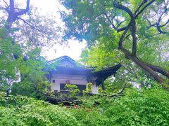 -扬州大运河文化旅游度假区·盆景园