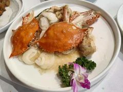-月湖翠·上海菜(思南公馆淮海店)