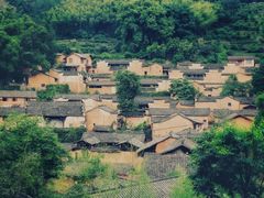 -杨家堂村