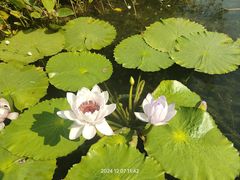 -云溪植物园
