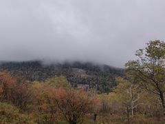 -凤凰山国家森林公园
