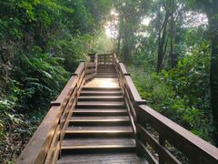 -水濂山森林公园