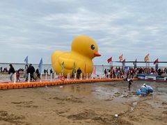 -天津东疆湾沙滩景区