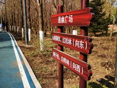 -绥化市森林植物园