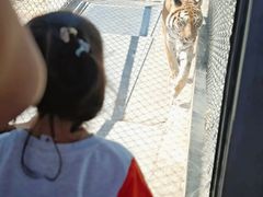 -西霞口神雕山野生动物世界