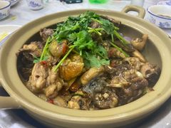 甲鱼鸡煲-潮信鱼头王(西环店)