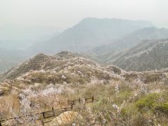 -大岭沟猕猴桃谷风景区
