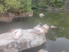-昆明动物园
