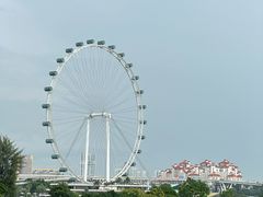 -新加坡摩天观景轮