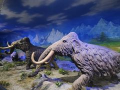 -中国第四纪冰川遗迹陈列馆