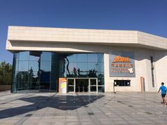 -成都泰迪熊博物馆