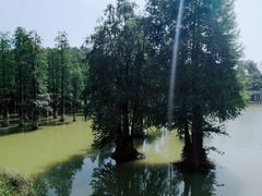 -南昌青山湖风景区