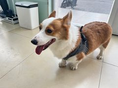 -美迦爱-牙专科·兔科·骨科诊疗中心(北苑店)