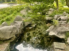 -百脉泉景区