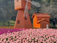 -苏州上方山国家森林公园